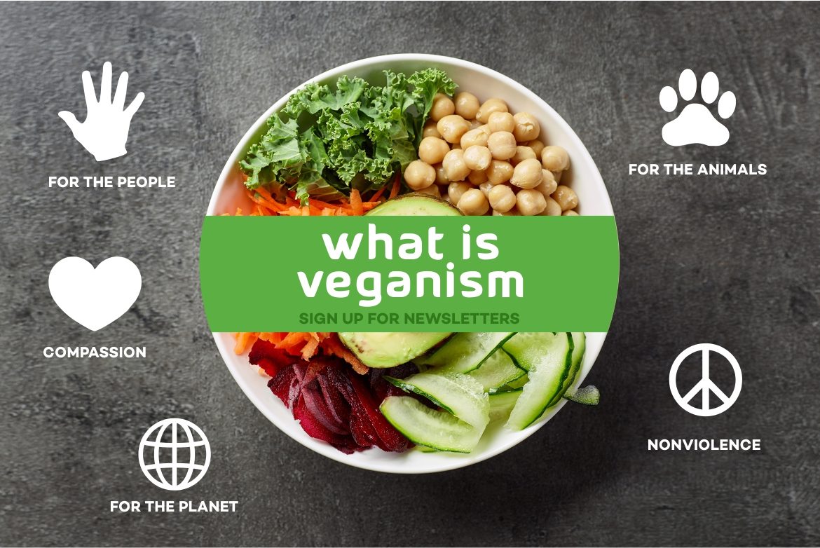 What is Veganism Vegan Leaves